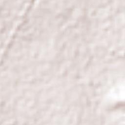 Francisco I. Madero Terrain Map