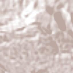 El Terrero Terrain Map