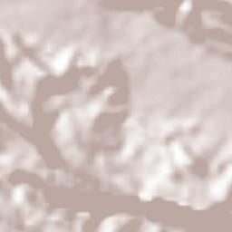 Trapiche del Rosario Terrain Map