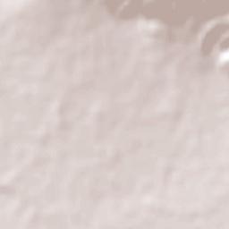 Villa González Terrain Map