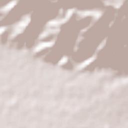 Palmar Arriba Terrain Map