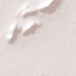 Purushottampur Terrain Map