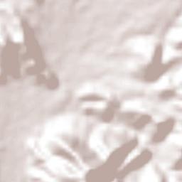 El Vigía Terrain Map