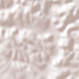 San Lorenzo Toxico Terrain Map