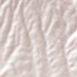 San José las Lomas Terrain Map