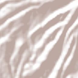 La Cañada Terrain Map