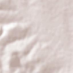 San Lucas Tecopilco Terrain Map