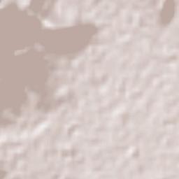 Progreso Terrain Map