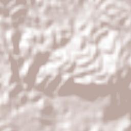 La Laguna Terrain Map