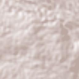 El Lencero Terrain Map