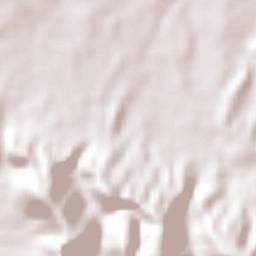 Guatapanal Terrain Map