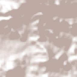 Colonia Loma Alta Terrain Map