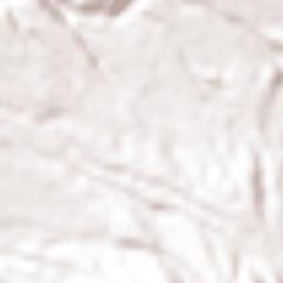 El Tigre (Segunda Manzana de Crescencio Morales) Terrain Map