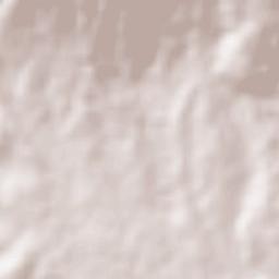 Sitio Ejido Terrain Map