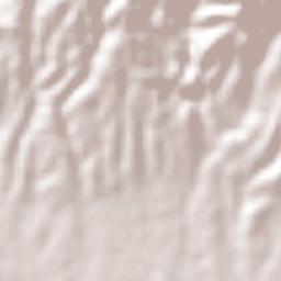 San Agustín Mimbres Terrain Map