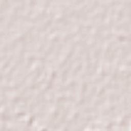 Cuauhtémoc Terrain Map