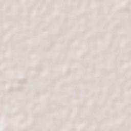 Venustiano Carranza Terrain Map