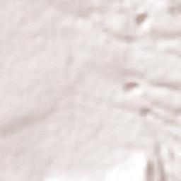 San Miguel Coatlinchán Terrain Map