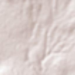 Atexcatzingo Terrain Map