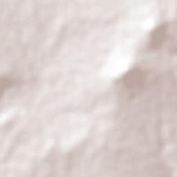 Toluca de Guadalupe Terrain Map