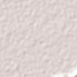 Nuevo México Terrain Map