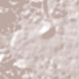 Coatepec Terrain Map