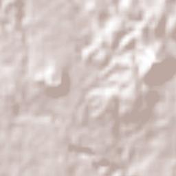 La Orduña Terrain Map