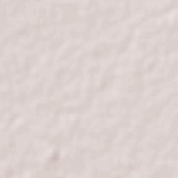 Villa Zempoala Terrain Map