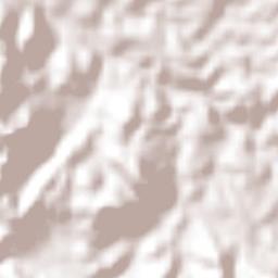 Las Juntas Terrain Map