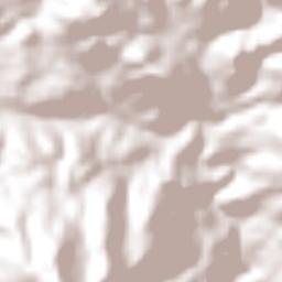 Cuautitlán de García Barragán Terrain Map