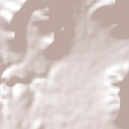 La Higuera Terrain Map