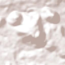 Santa Juana Terrain Map