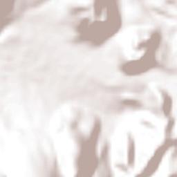 Rincón de Nicolás Romero (Cedros Tercera Manzana) Terrain Map