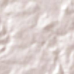 Colonia Doctor Gustavo Baz Terrain Map