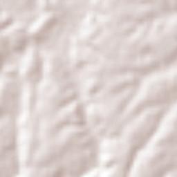 Salitrillo Terrain Map