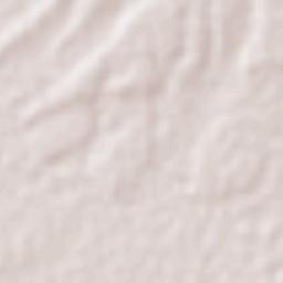 Ejido de Dolores Terrain Map