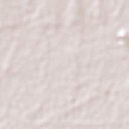 San Lorenzo Oyamel Terrain Map