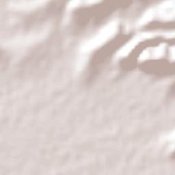 Ejido de Mozoquilpan Terrain Map