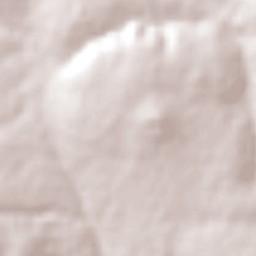 Topilco de Juárez Terrain Map