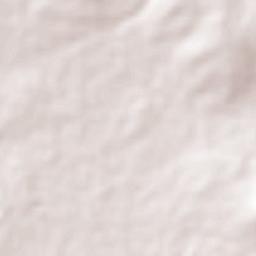 Colonia Venustiano Carranza Terrain Map