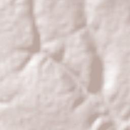 Atlzayanca Terrain Map