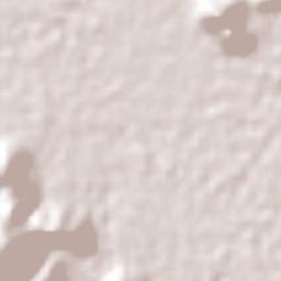 San Antonio Virreyes Terrain Map