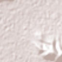 El Fuerte de la Unión Terrain Map