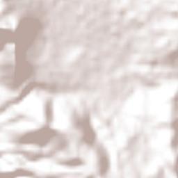 El Triunfo Terrain Map