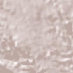 Mahuixtlan Terrain Map