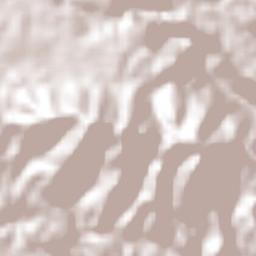 Chavarrillo Terrain Map