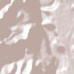 Zacualpan Terrain Map