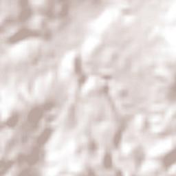 San Felipe Santiago Terrain Map