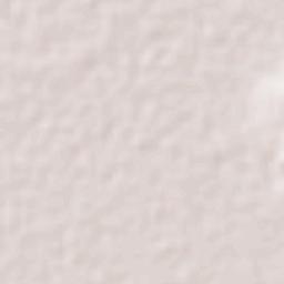 Colonia Álvaro Obregón Terrain Map