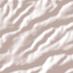 Col. Bosques de las Lomas Terrain Map